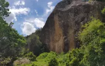 450 - (2019-10-15 19:22:50)