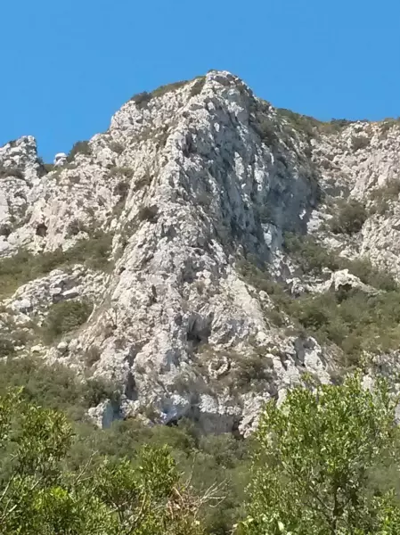 Spigolo delle canne d'organo - fabio