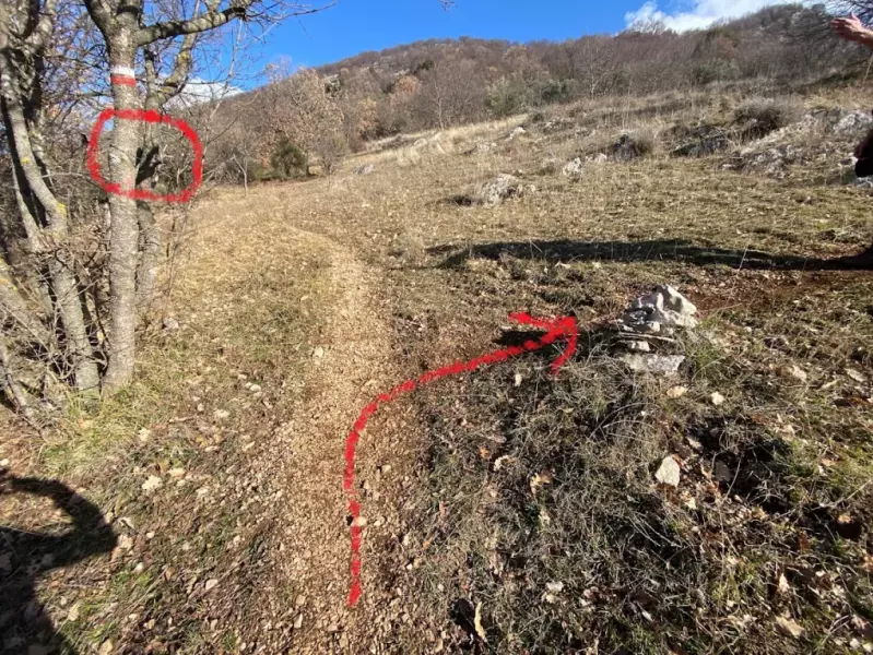 Svolta a dx dopo l'albero che ospitava il segnavia - FeDe