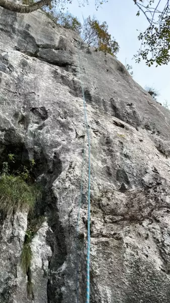 dx - Federico Canobbio