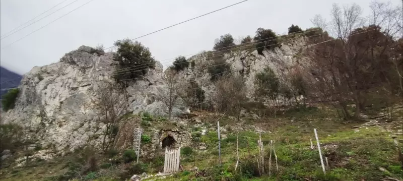 Capo di Ciesco Classica - Abellarock