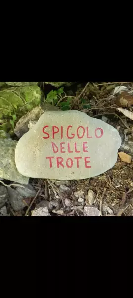 bella via facile e divertente - Lupo 72