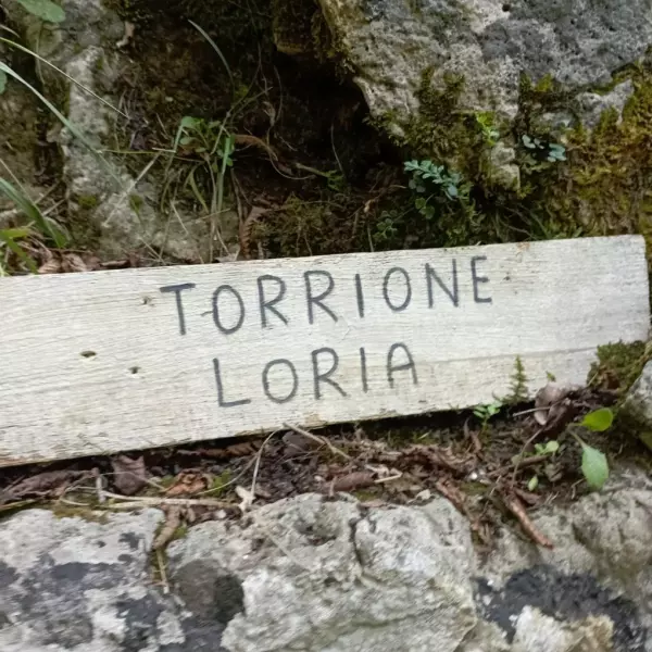 il torrione Loria - lupo 72