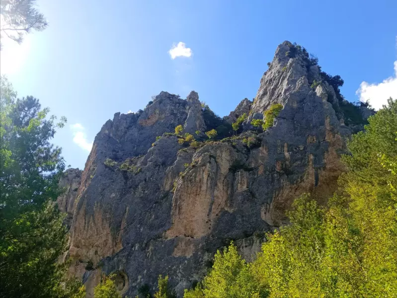 Vista della parete - Majik Tree