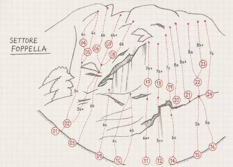 Schema vie - Jeipaul