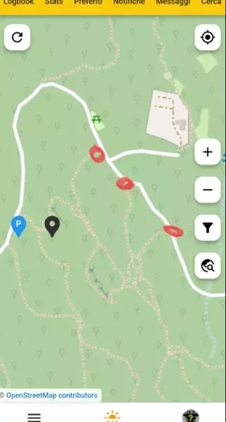 Vari parcheggi possibili -  Majik Tree