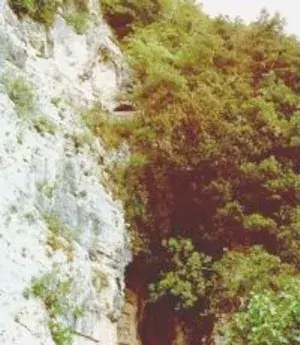 La Falesia - Webg