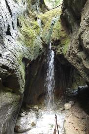 Cascata Pisot nel Parco delle Fucine - Francesco Zanardini